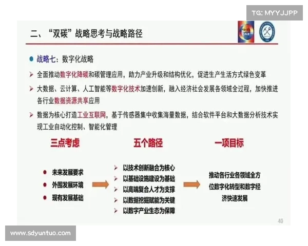 多元化发展视角下部落与联盟的未来路径与战略探讨 多元化发展视角下部落与联盟的未来路径与战略探讨