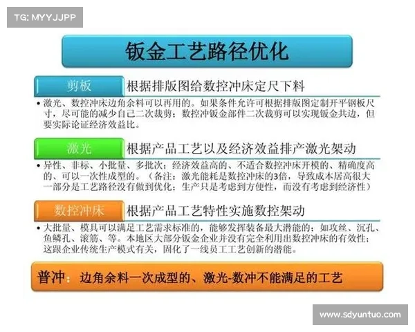 从新手到高手:角色加点策略与优化路径全面解析 从新手到高手:角色加点策略与优化路径全面解析