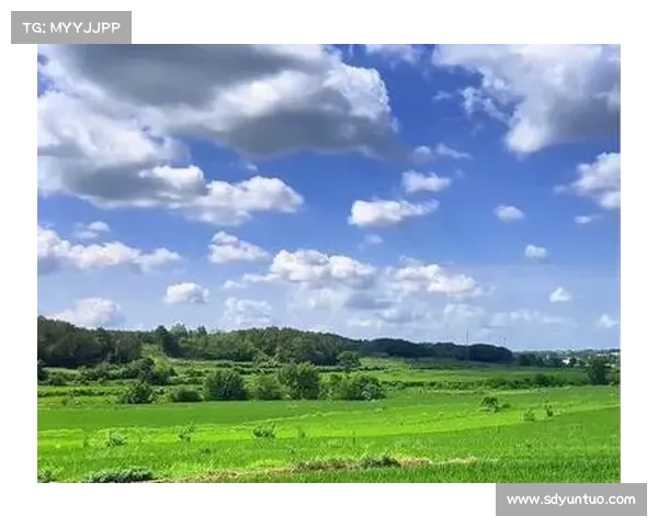 小满时节的田园风光与自然之美探寻 一场心灵的乡村之旅 小满时节的田园风光与自然之美探寻 一场心灵的乡村之旅