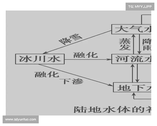 文化与社会的历史进程:双向互动与相互塑造的深层关系探索 文化与社会的历史进程:双向互动与相互塑造的深层关系探索
