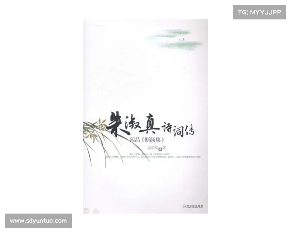 为何友谊如鹊桥仙夜般美好 其内涵与魅力深度解析 为何友谊如鹊桥仙夜般美好 其内涵与魅力深度解析