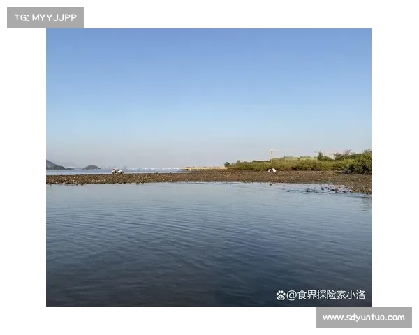 探秘鹤观岛悠然风光尽享自然之美的绝佳体验之旅 探秘鹤观岛悠然风光尽享自然之美的绝佳体验之旅
