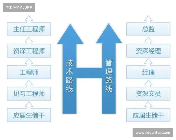 工程师如何科学制定个人职业发展与技能提升规划路径 工程师如何科学制定个人职业发展与技能提升规划路径