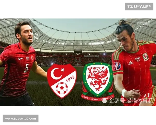 土耳其最新比赛动态分析及球队表现评估